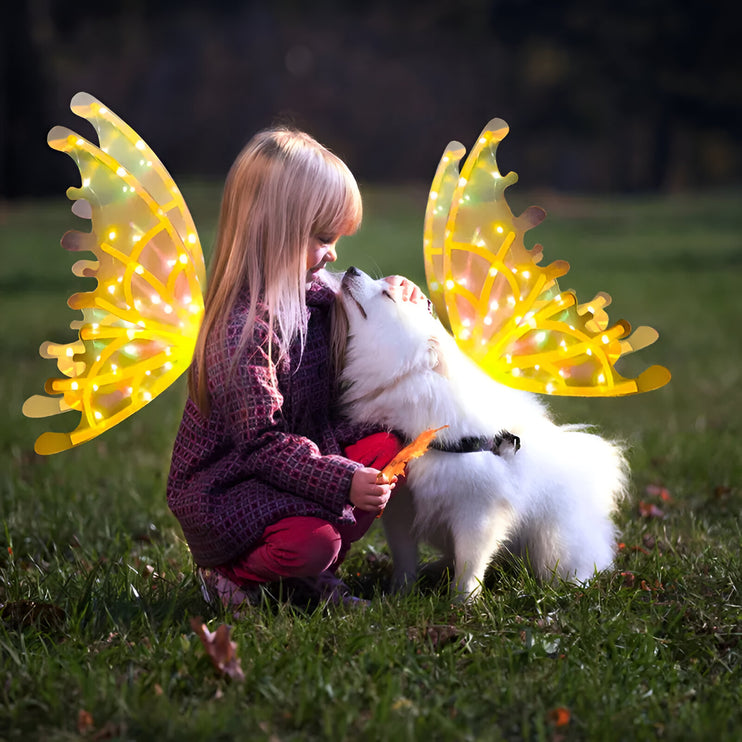 The Dog Fairy